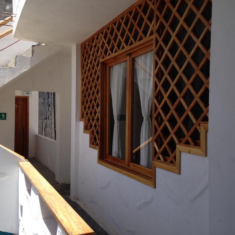 Galapagos Native Hostel Puerto Ayora  Δωμάτιο φωτογραφία